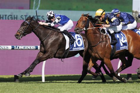 Doncaster Mile 2024 – Field Preview, Odds, Horses, Speed Map .
